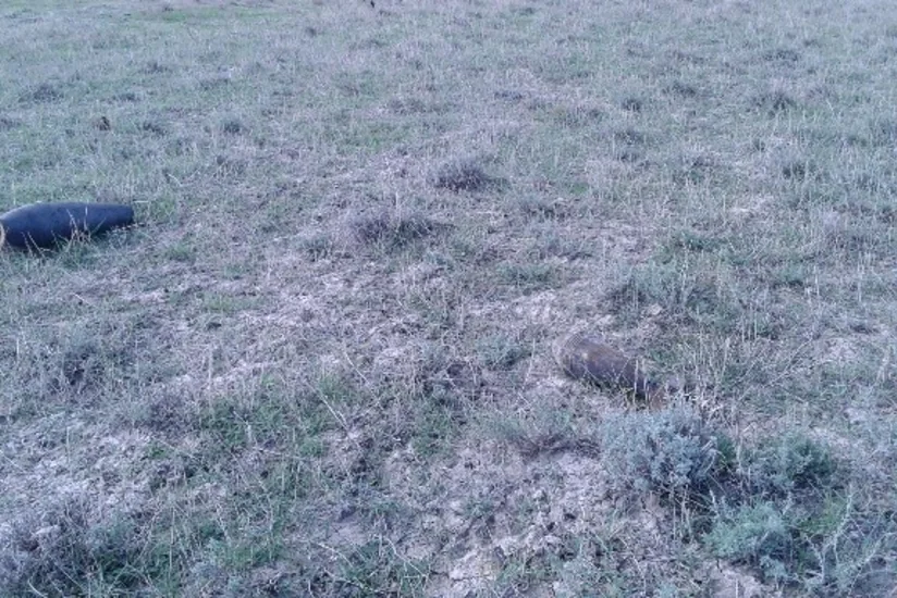 Xızıda 66 ədəd partlamamış hərbi sursat aşkarlanıb