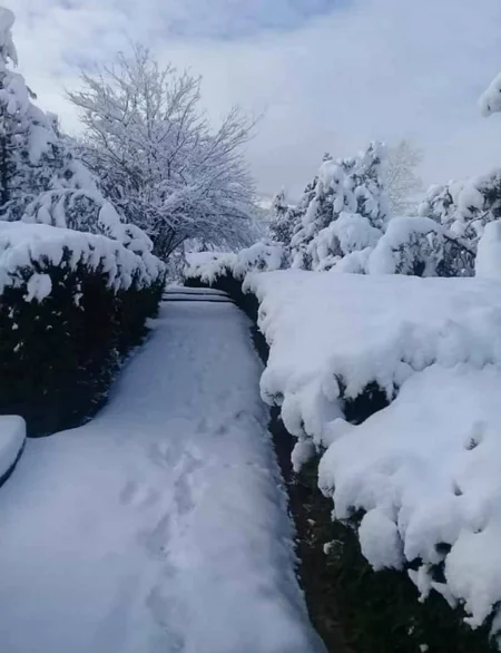 Azərbaycan parklarının qış görüntüləri - FOTOREPORTAJ