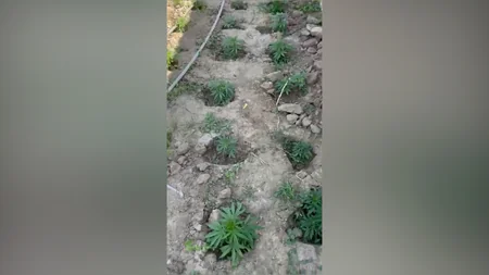 Polis əməliyyatlar keçirdi, saxlanılanlar var - VİDEO