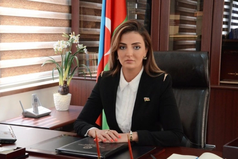 Könül Nurullayeva: “Prezidentin həmsədrlərlə görüşdəki nitqində açıq mesajlar vardı”