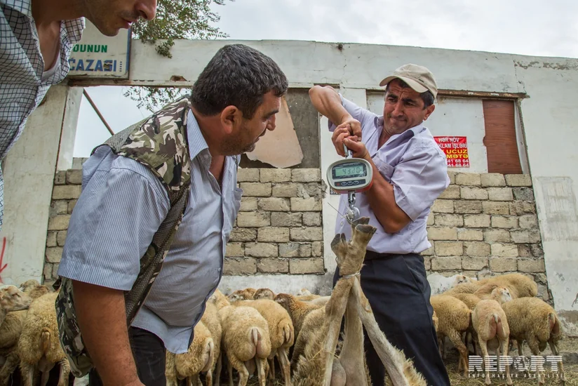 Azərbaycanda Qurban bayramı ilə əlaqədar satış yarmarkaları təşkil olunacaq