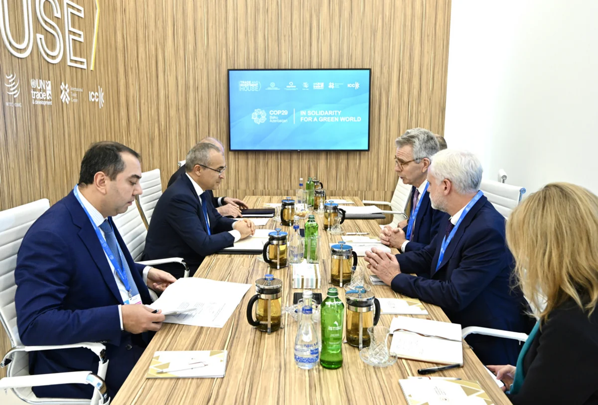 Azərbaycan ABŞ ilə bərpa olunan enerji mənbələrindən istifadənin genişləndirilməsini müzakirə edib