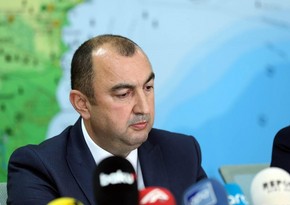 На оккупированные территории приходится 25% лесов Азербайджана