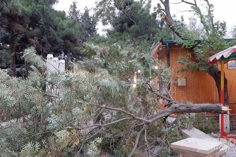 Bakıda parkda ağacın budaqları qırılaraq attraksionların üstünə düşüb - FOTO