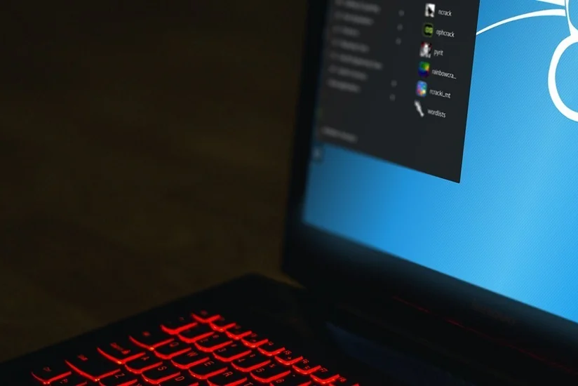 Власти Эквадора зарегистрировали более 40 млн кибератак после лишения Ассанжа убежища