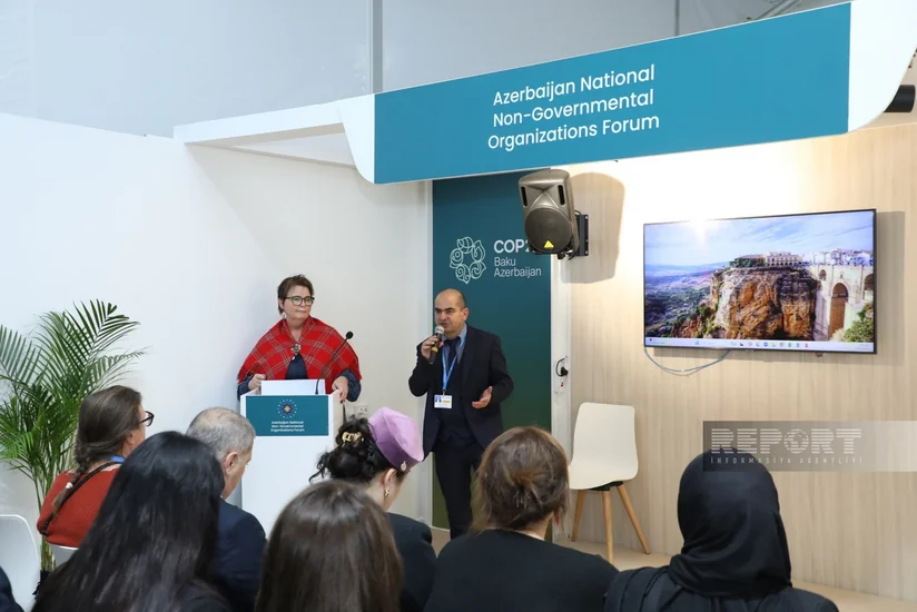 COP29 çərçivəsində Ermənistanın dağ-mədən sənayesinin Cənubi Qafqazın ekologiyasını zəhərləməsi barədə müzakirə keçirilib - YENİLƏNİB-2
