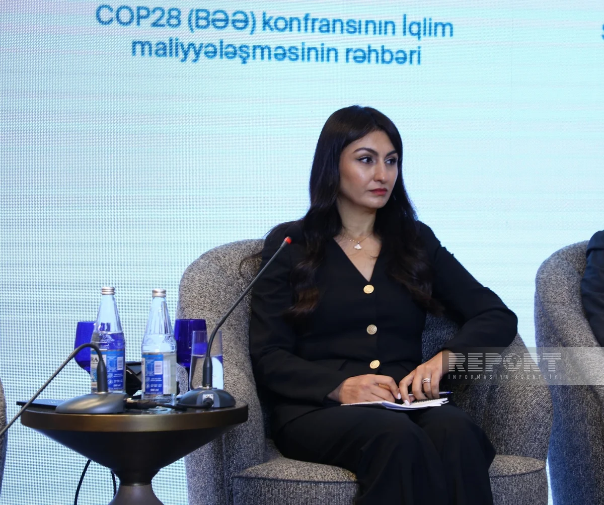DVX: Azərbaycanda iqlim hədəflərinə dəstək verən sənayelərə vergi güzəştləri kifayət qədərdir