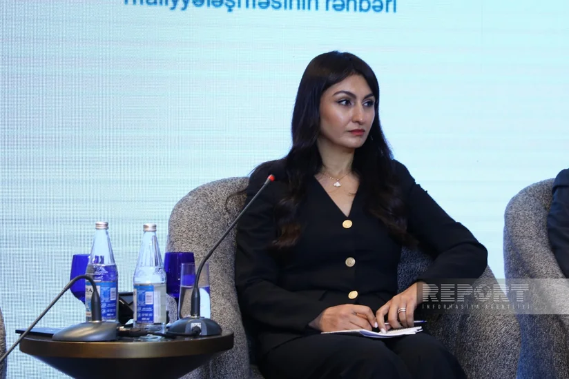 DVX: Azərbaycanda iqlim hədəflərinə dəstək verən sənayelərə vergi güzəştləri kifayət qədərdir