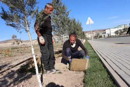 Ağalı kəndində yaşıllaşdırma işi həyata keçirilib