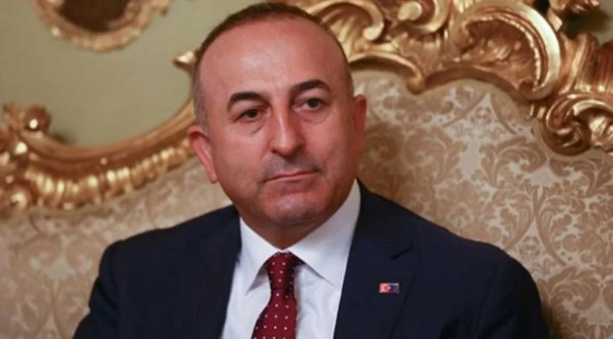 Глава МИД Турции: Не стоит испытывать наше терпение
