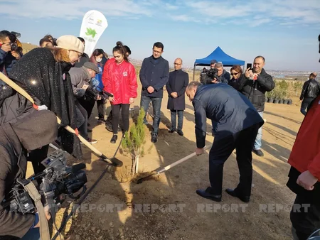 Xocasəndə 2000-dən çox müxtəlif cinsli ağac əkilib