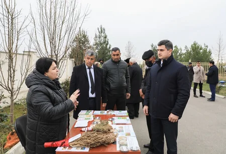 Füzulidə İnnovasiya Festivalı keçirilib