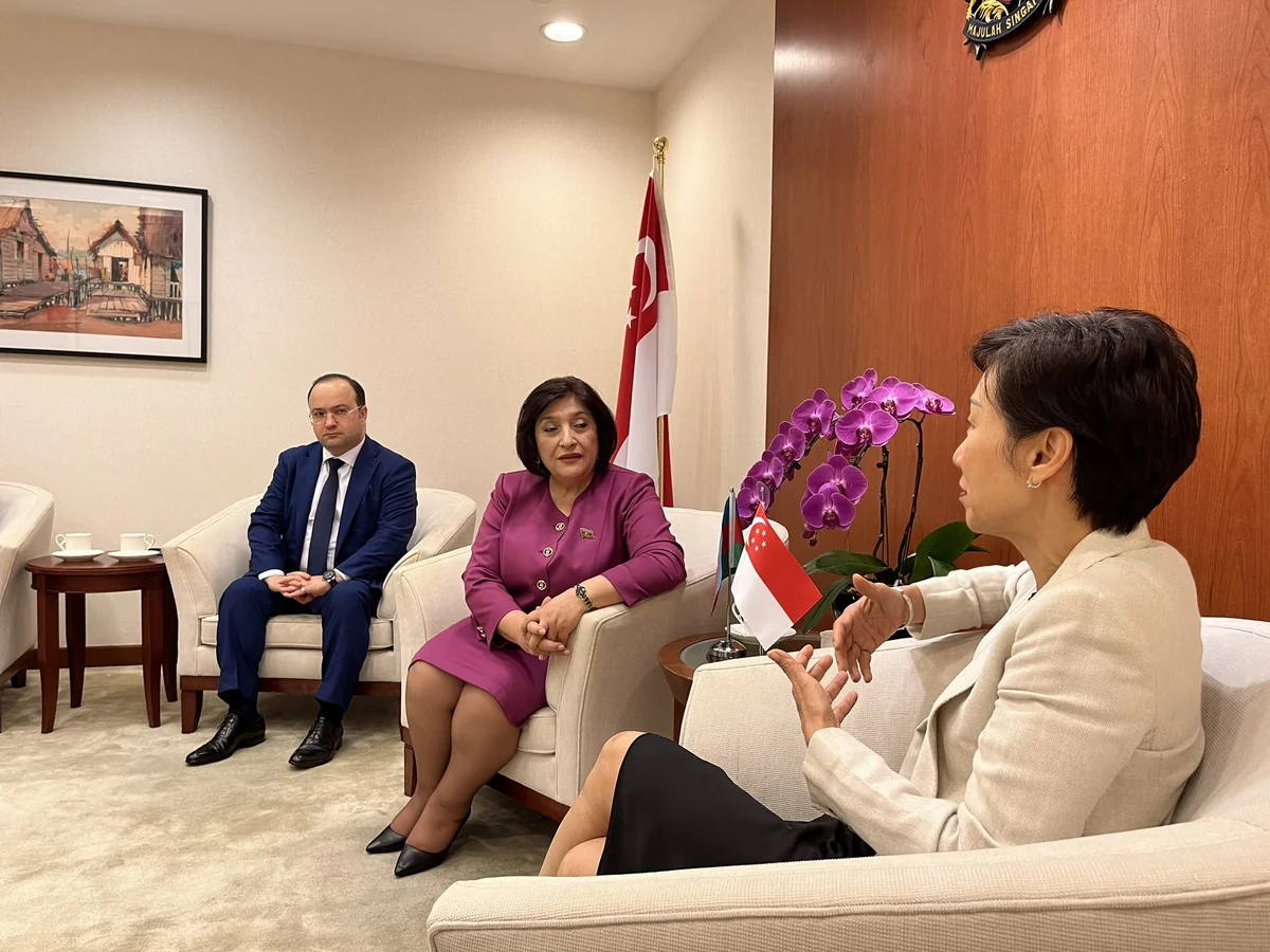 Singapore makes efforts for Azerbaijan's success at COP29