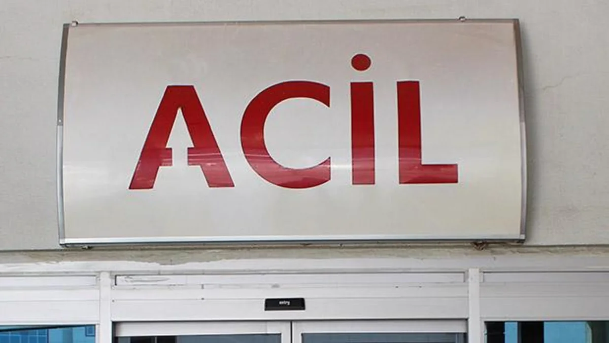 Türkiyədə H1N1 virusundan daha iki ölüm faktı qeydə alınıb