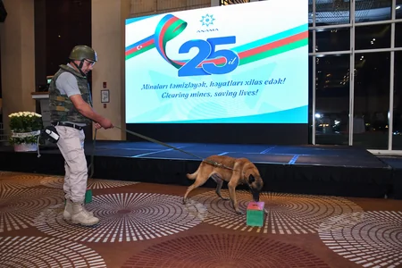 ANAMA yaradılmasının 25-ci ildönümünü qeyd edib