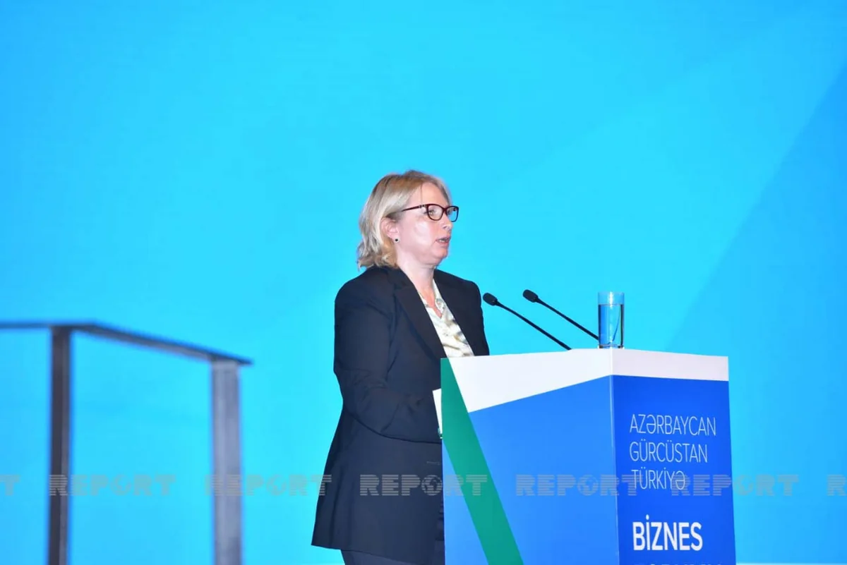 Natia Turnava: Gürcüstanda Azərbaycan və Türkiyə investisiyalı 1000-dən çox şirkət var