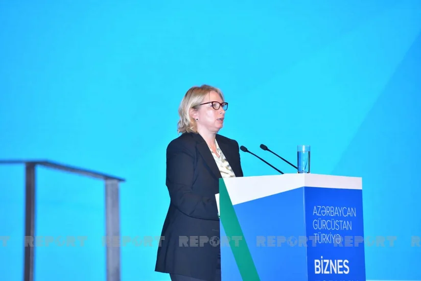 Natia Turnava: Gürcüstanda Azərbaycan və Türkiyə investisiyalı 1000-dən çox şirkət var