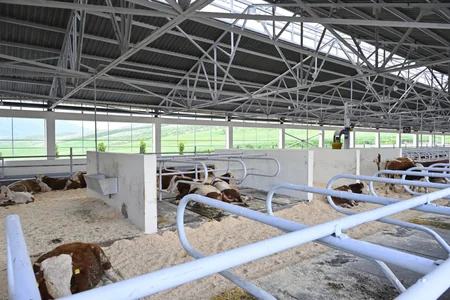 “Qoç Ət” Kəndli Fermer Təsərrüfatı MMC-nin Xocalının Xanabad kəndindəki heyvandarlıq kompleksinin açılışı olub - YENİLƏNİB
