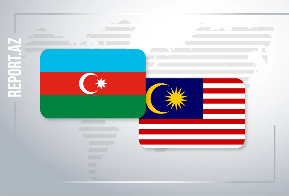 Malayziya rəsmisi Azərbaycana səfər edəcək