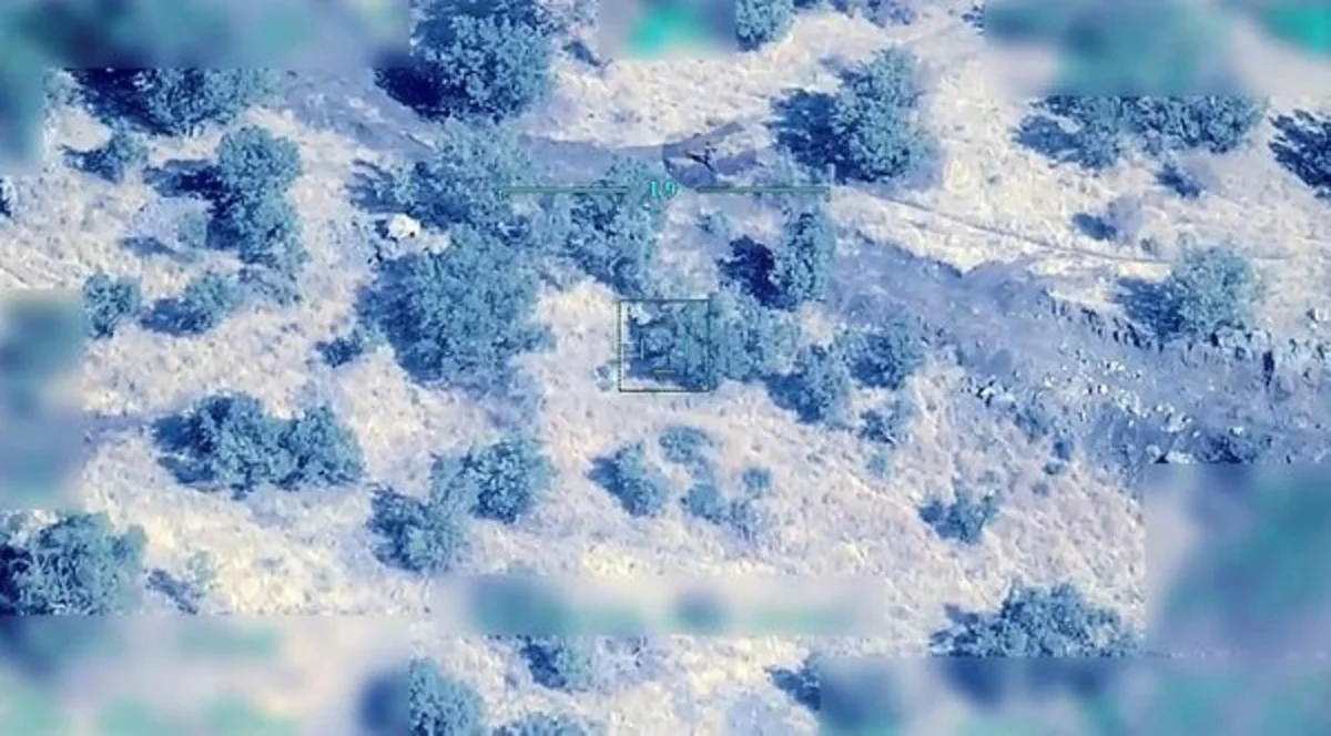 PKK-nın dəstə başçılarından biri azadlıqdan məhrum edilib
