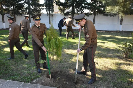 FHN-in regional mərkəzlərində ağacəkmə aksiyaları keçirilib