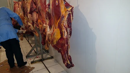 Təzə bazardakı gizli sexdə aşkarlanan yararsız ətlərin laboratoriya müayinələri açıqlanıb