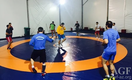Rio-2016: Azerbaijani Greco-Roman wrestlers completed preparations