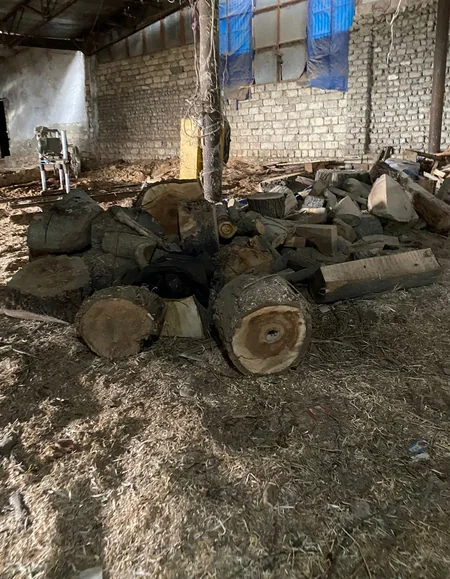 Xaçmazda qanunsuz ağac emal edən sexlər barədə araşdırma aparılır