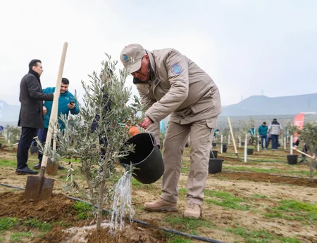 “Yaşıl dünya naminə həmrəylik ili”ndə ağacəkmə aksiyaları davam edir