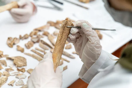 Çovdar nekropolunda aşkar olunmuş tapıntılar xarici laboratoriyada analiz olunur