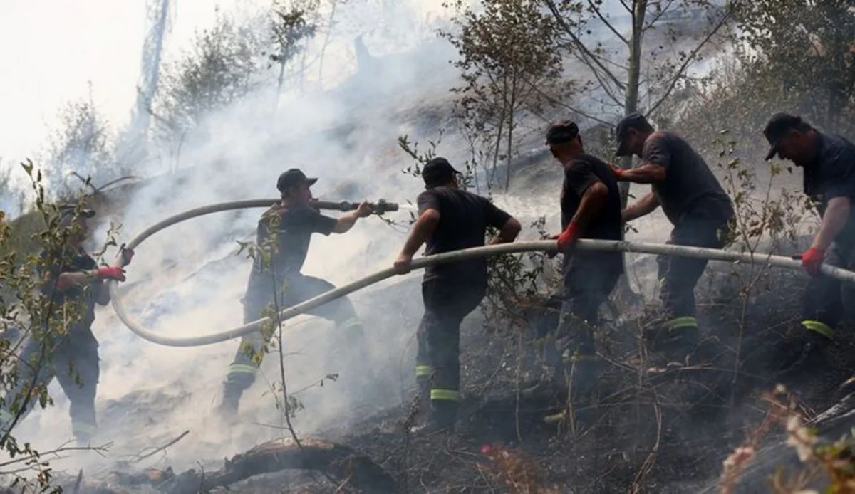 2024-cü ildə ölkədə 14 mindən çox təbii və texnogen mənşəli hadisə baş verib