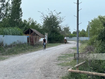 Xınıslı kəndinin “keçilməz” yolları – Kürdəmirdən REPORTAJ