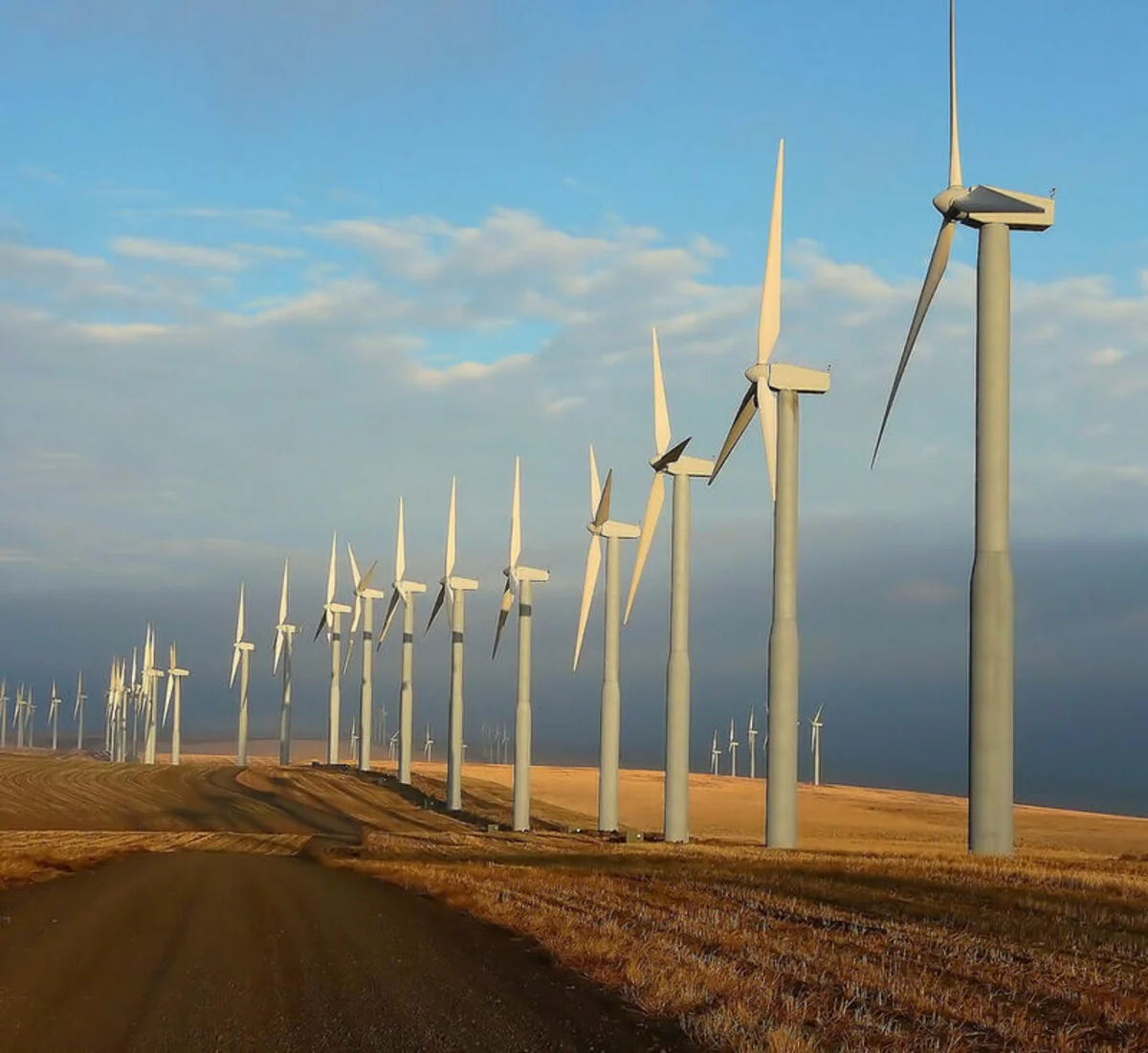 Germany to invest 57.6B euros in green energy technologies in 2024