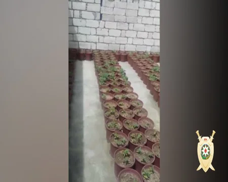 Bakıda narkotik vasitələr satan “Dayı” və bacıoğlu saxlanılıb