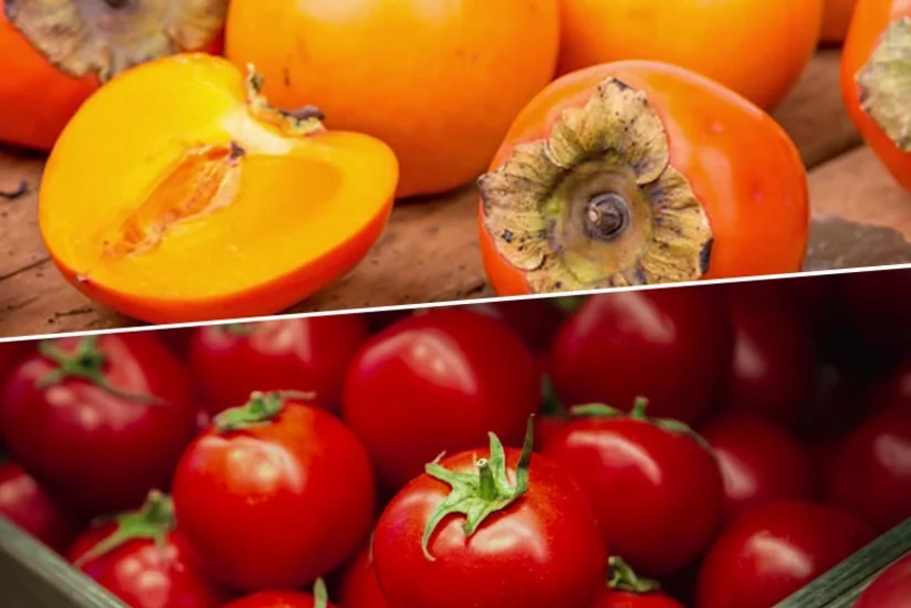 Rusiya meyvə-tərəvəz idxalçıları qarşısında yeni tələblər qoyub