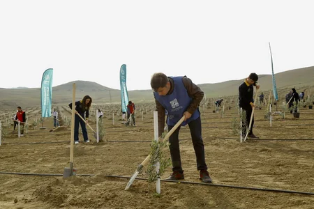 Azərbaycanda Türk Dövlətləri Milli Ağaclandırma Günü münasibətilə 111 min 111 ağac əkilib