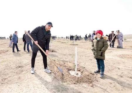 Heydər Əliyevin yubileyi ilə əlaqədar ağacəkmə aksiyası keçirilib