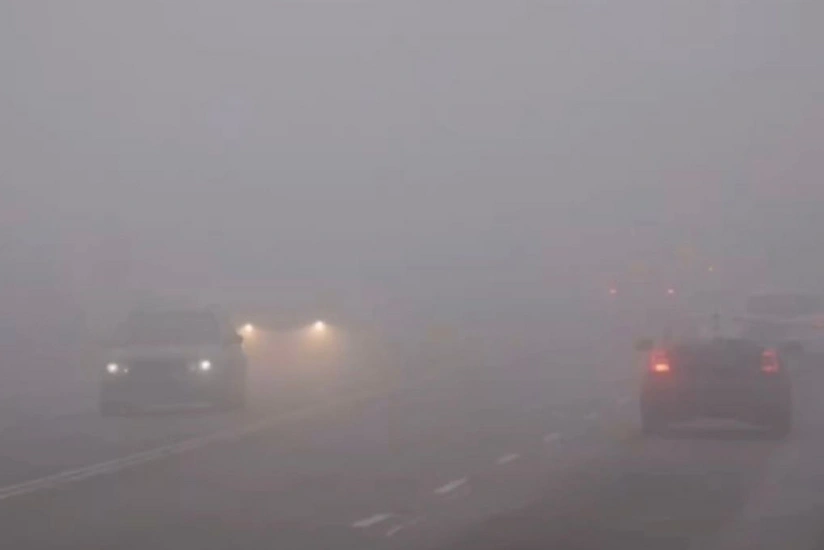 DYP sürücü və piyadalara xəbərdarlıq edib