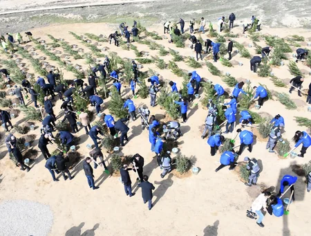 Bakı Şəhər İcra Hakimiyyəti ağacəkmə aksiyası keçirib