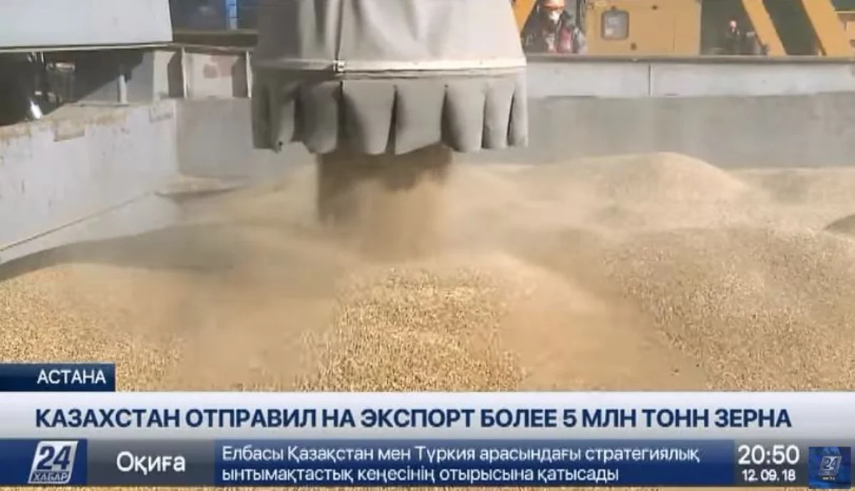 Мукан Абдиев: Азербайджан закупает порядка 600 тысяч тонн зерна в год
