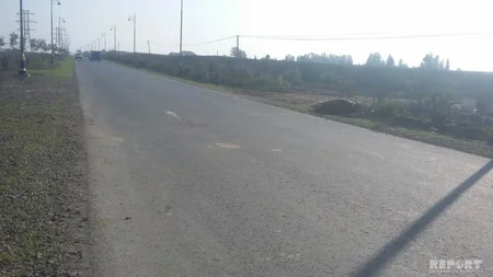 Cəlilabadda yol qəzası: 4 iribuynuzlu mal-qara tələf olub