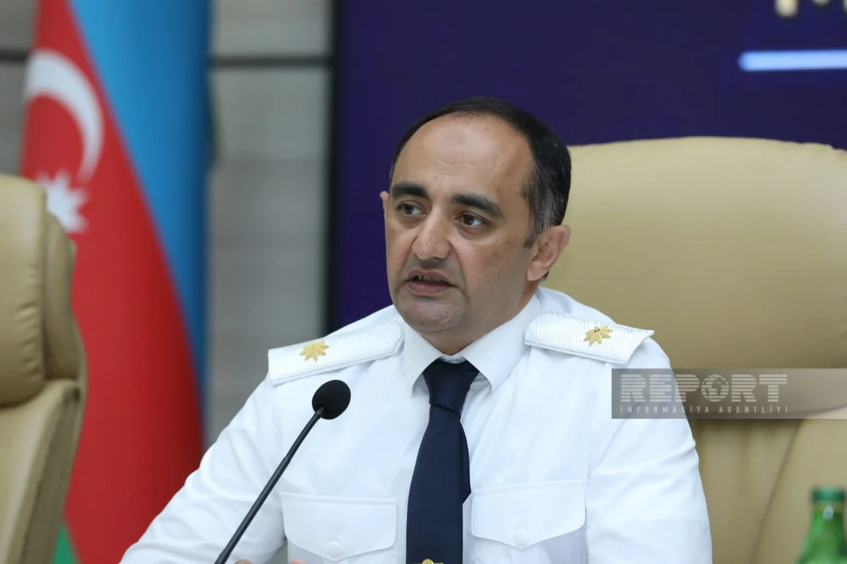 Baş Prokurorluq: “Meşələrdə əsasən yaşlı, şəhərlərdə isə yeni əkilmiş ağaclar kəsilir”
