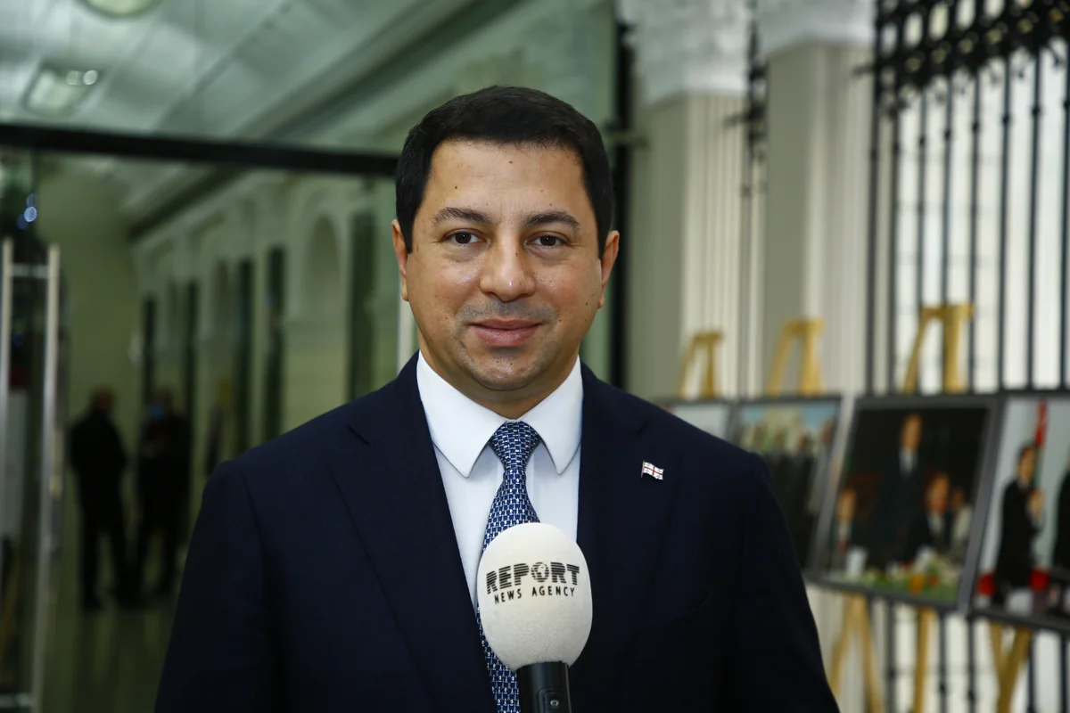 Head of Georgian-Azerbaijani interparliamentary friendship group may become minister
