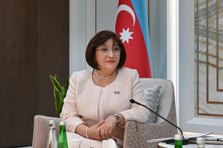 Sahibə Qafarova BƏƏ-nin Federal Milli Şurasının sədri ilə görüşüb
