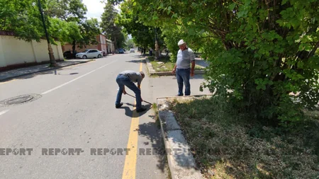 Qubada şəhid media nümayəndələrinin xatirəsi əbədiləşdirilir