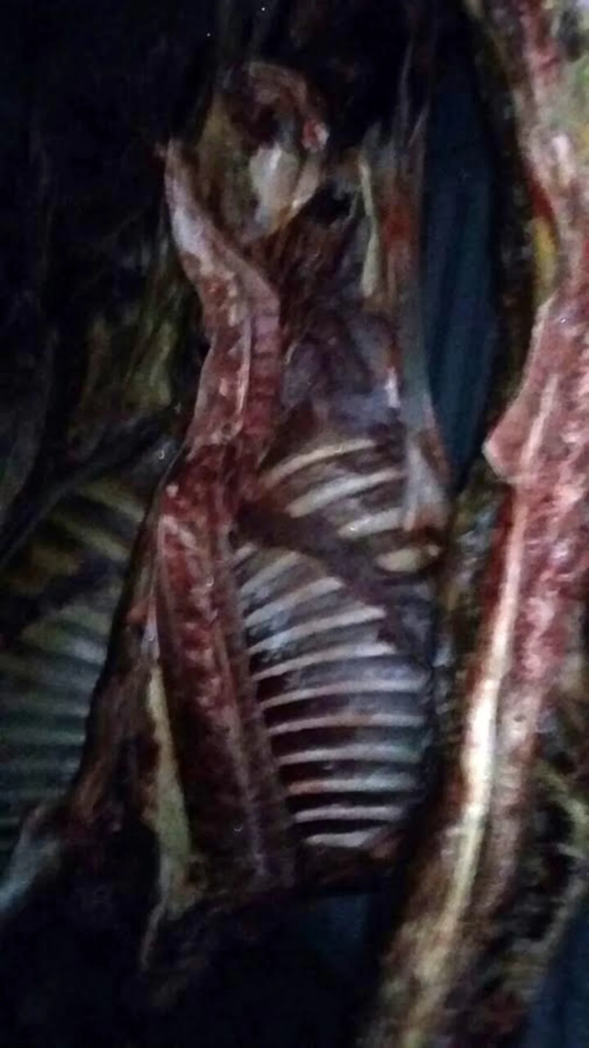 Bakı şəhərində və Yevlax, Bərdə, Ağcabədi rayonlarında qida təhlükəsizliyi ilə əlaqədar reydlər keçirilib