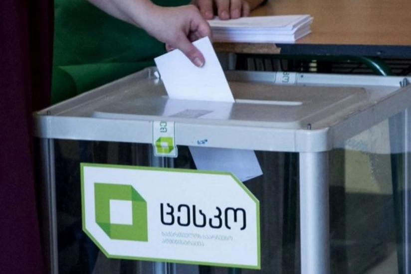 Gürcüstan azərbaycanlıları prezident seçkilərində hansı namizədi dəstəkləyib?