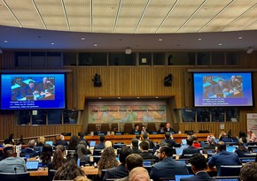 Azerbaijan's achievements in healthcare presented at UN