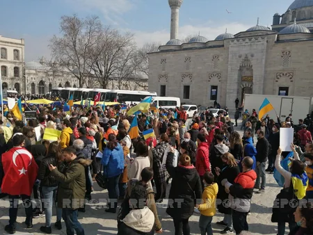 Ukraynalılar İstanbulda Rusiya əleyhinə aksiya keçirib