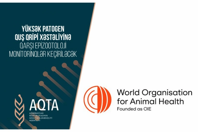 Quş qripi xəstəliyinə qarşı monitorinqlər keçiriləcək